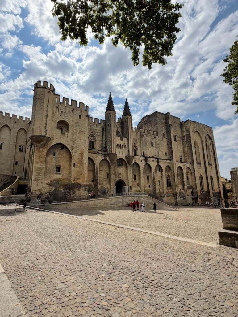 Palais des Papes and Avignon Cathedral in the historic center of Avignon
