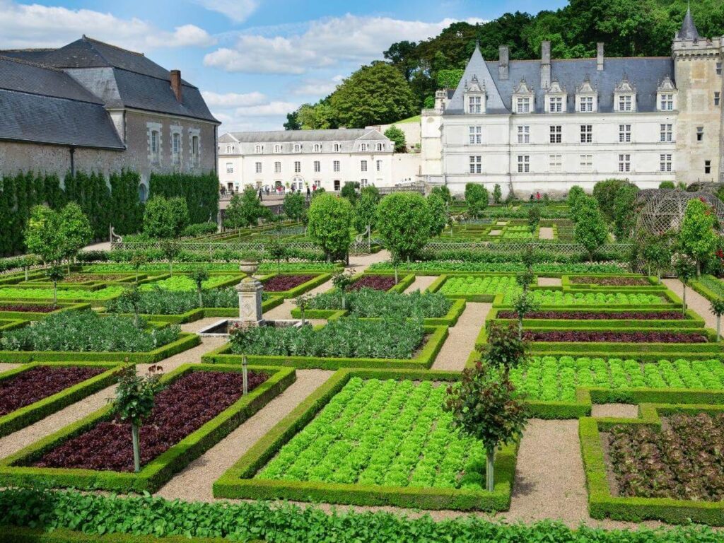 Decorative Kitchen Garden with colorful vegetables and geometric planting patterns