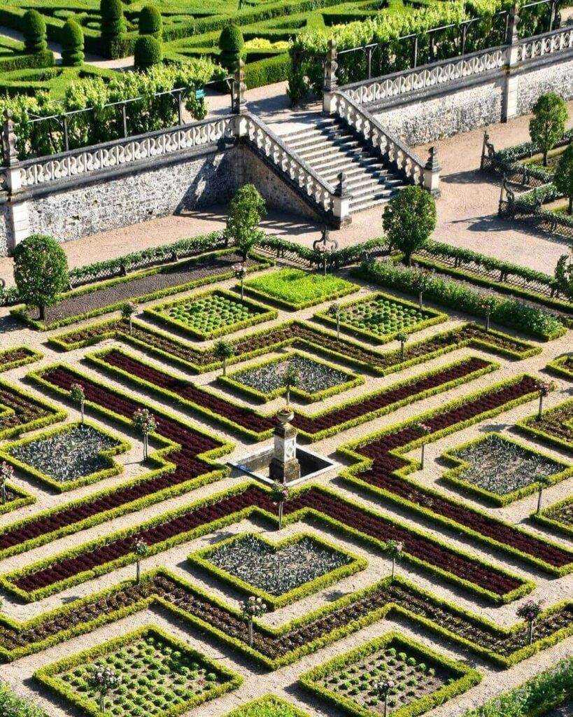 Autumn colors in the Decorative Kitchen Garden at Château de Villandry