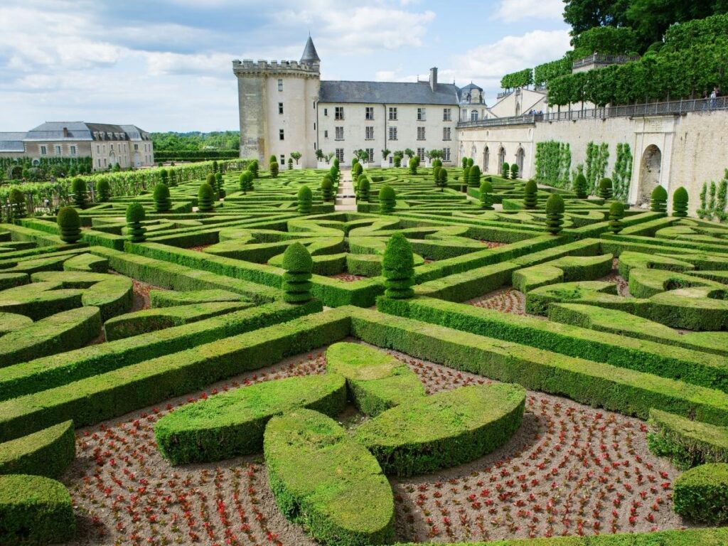 Ornamental Garden at Château de Villandry featuring intricate geometric hedge designs