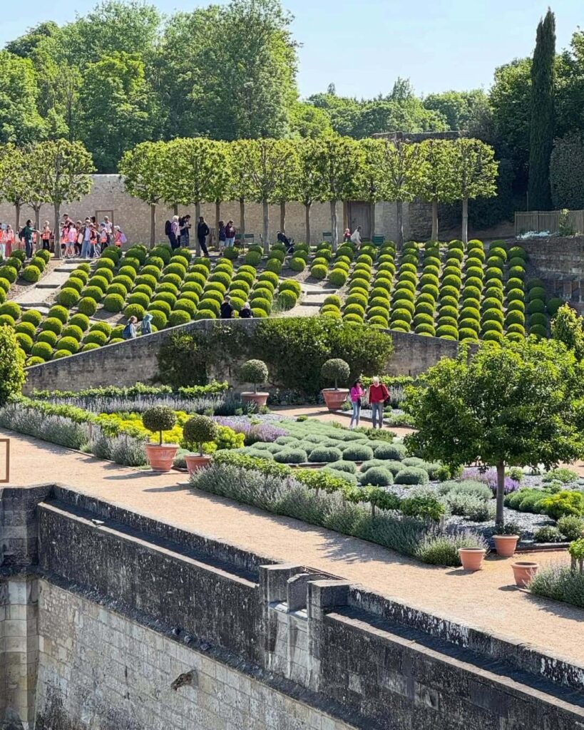 Visitors exploring the grounds of Château d'Amboise