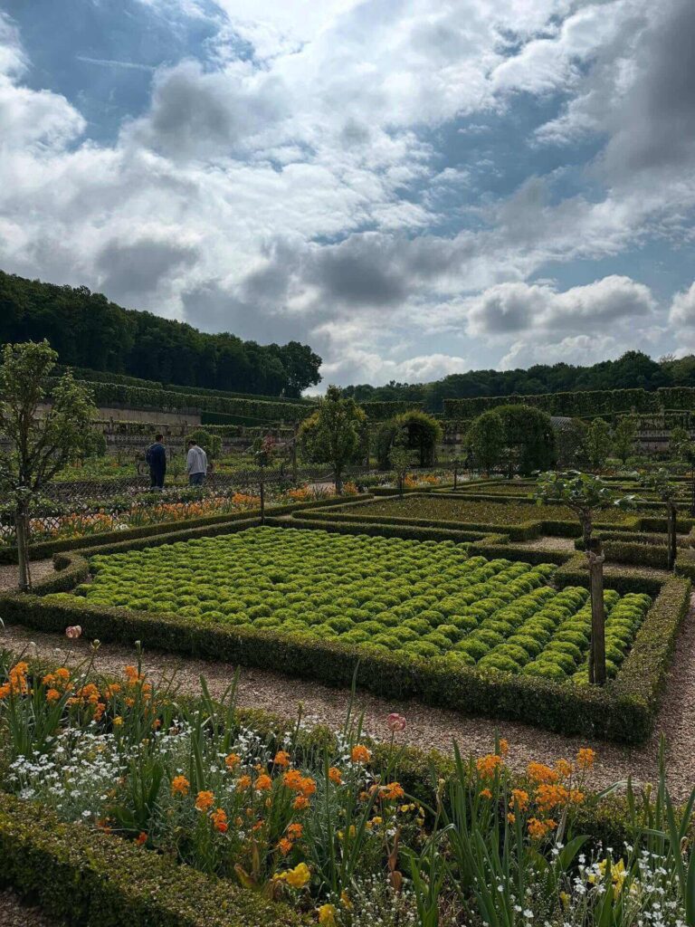 Garden pathways winding through the Renaissance gardens of Château de Villandry