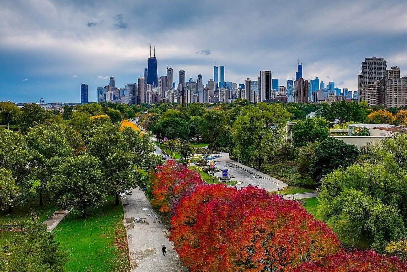 Spring flowers blooming in Lincoln Park with the Chicago skyline in the background