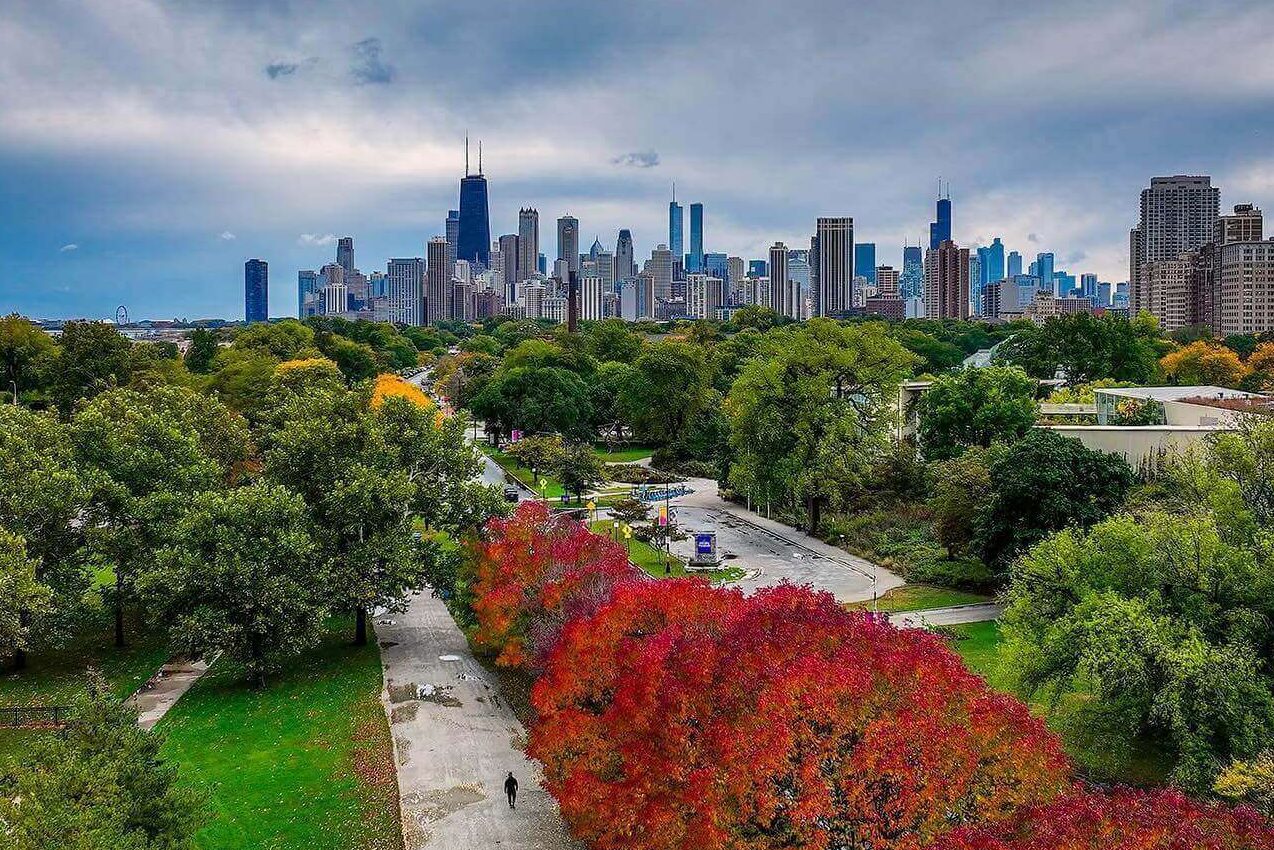 Tree-lined street in Chicago's Lincoln Park neighborhood