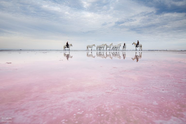Everything You Need to Know About the Camargue, France