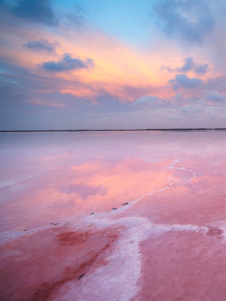 Peaceful Camargue wetlands at golden hour
