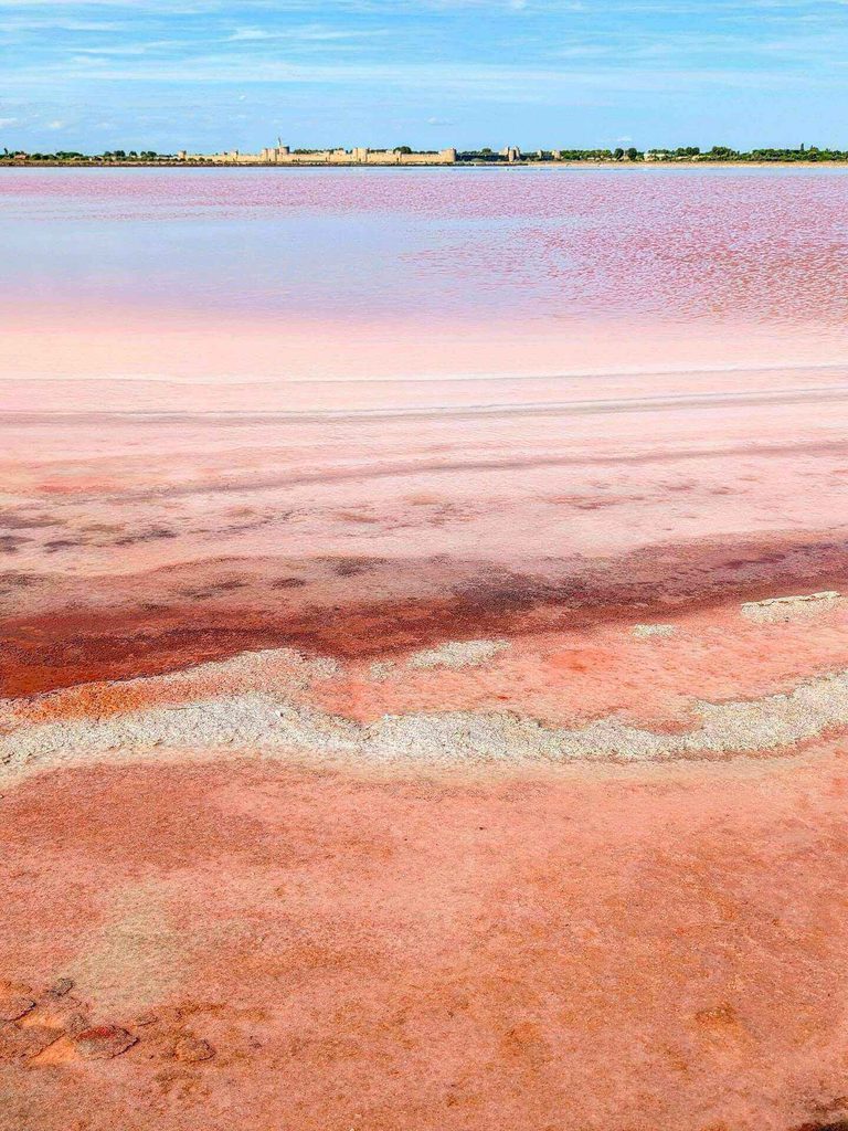 Salt marshes and shallow ponds near Aigues-Mortes in the Camargue