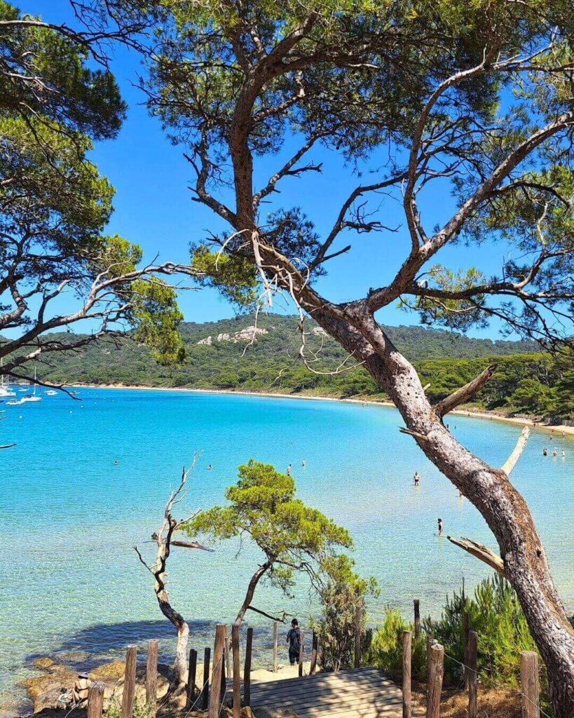 Calm Mediterranean water along the Port-Cros coastline