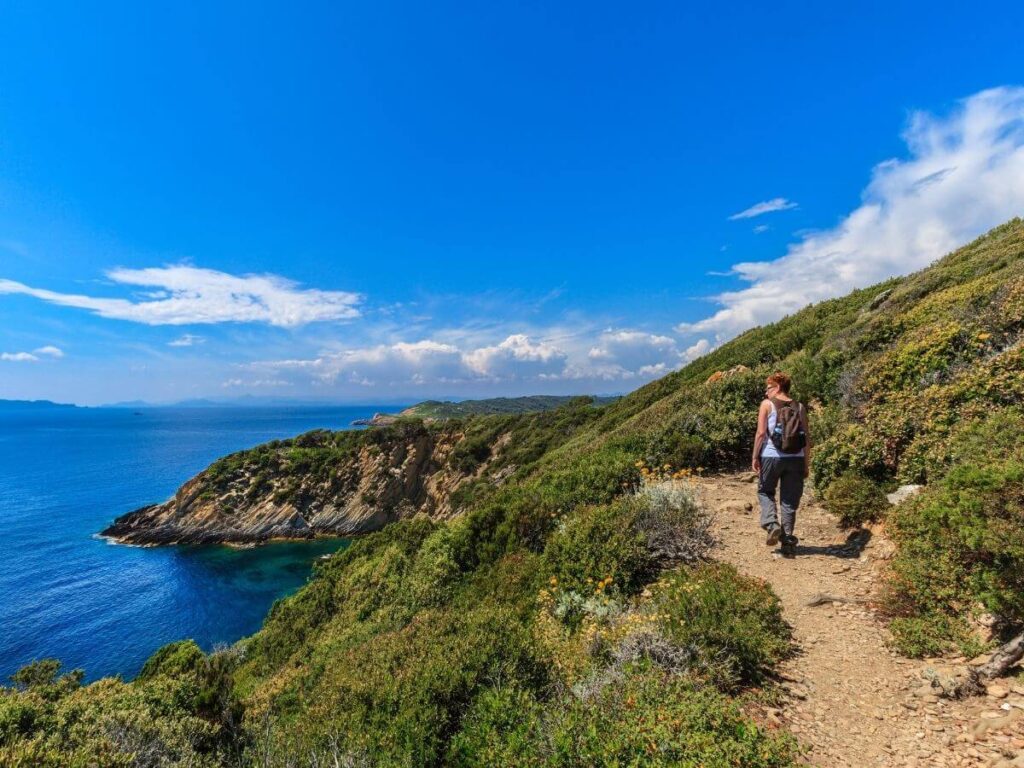 Hiker walking through the forest on a Port-Cros National Park trail