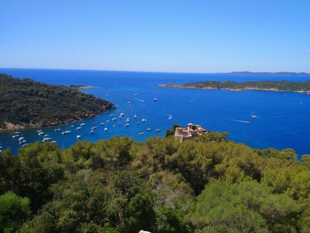 Forested coastline of Port-Cros Island in southern France