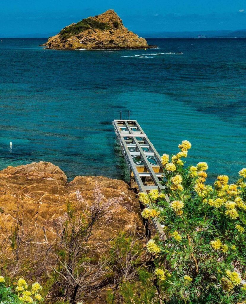 Port-Cros coastline in early fall