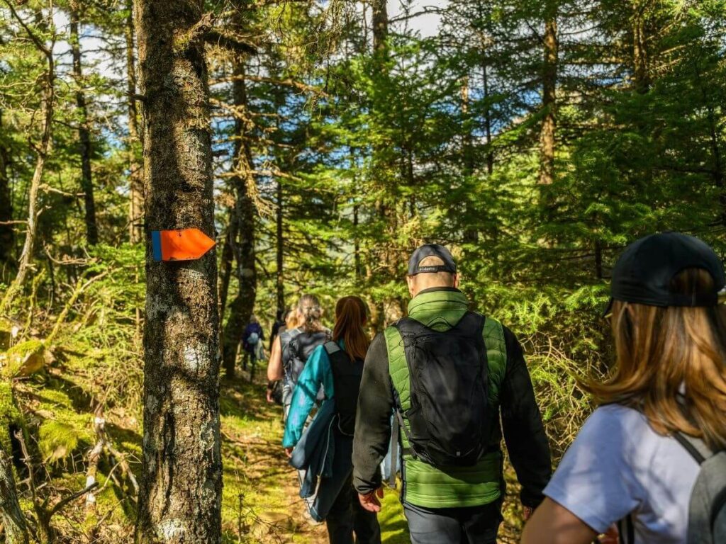 Marked trail sign on a hiking path in Port-Cros National Park
