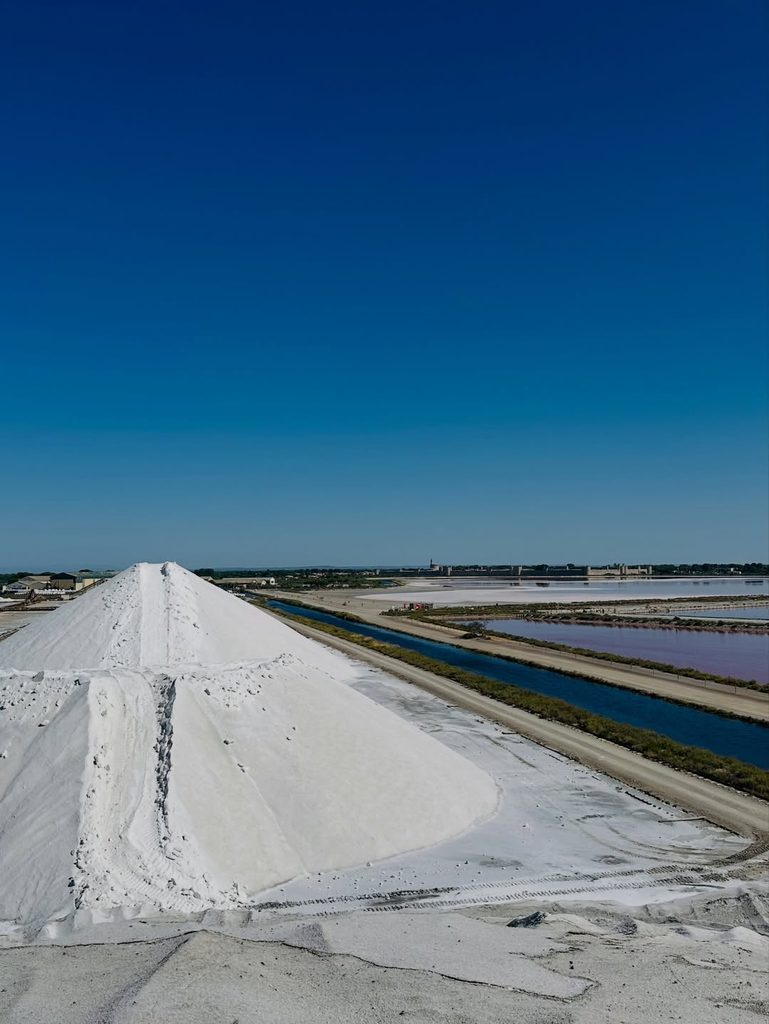Salt ponds and wetlands around Salin-de-Giraud in the Camargue
