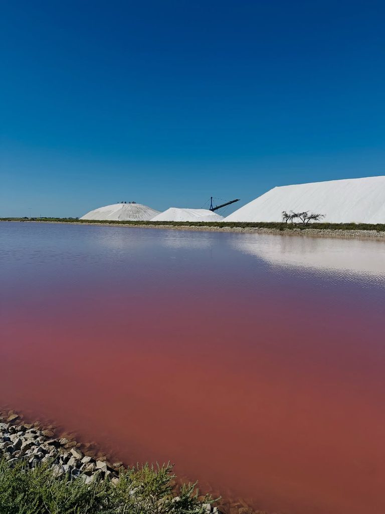 Salt production landscape at Salin-de-Giraud in the Camargue