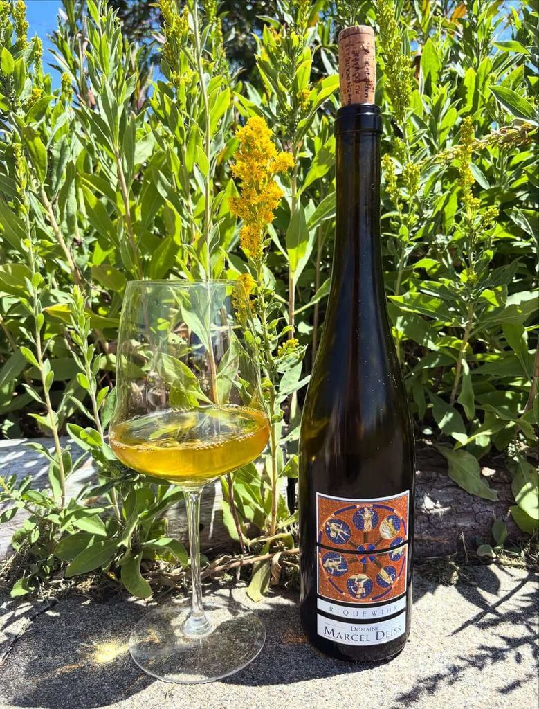 Alsatian wine tasting in Riquewihr
