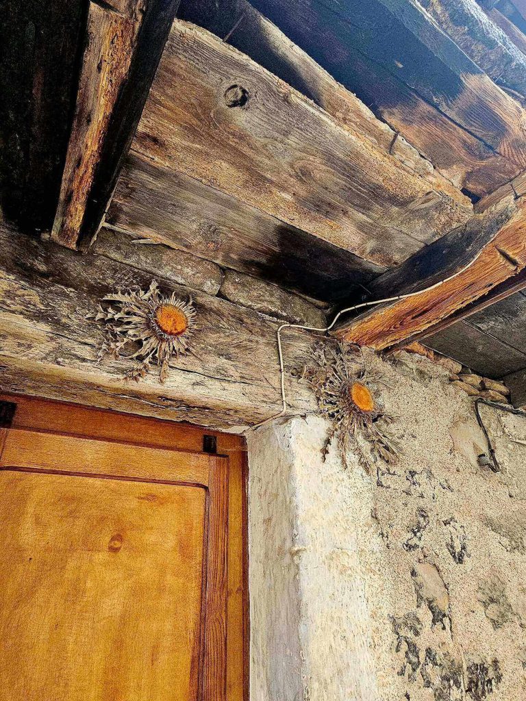 Dried cardabelle flower attached to a traditional stone house near Sainte-Enimie