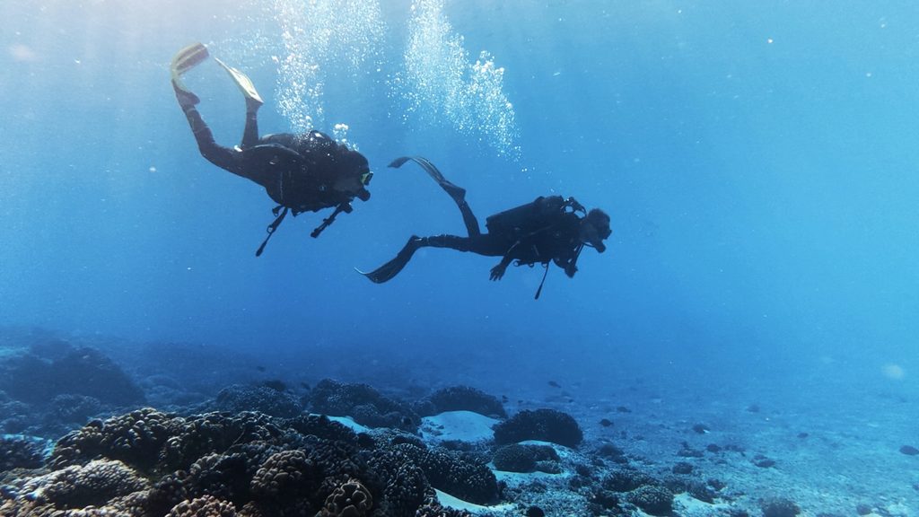 Scuba diver exploring the underwater environment in Fakarava