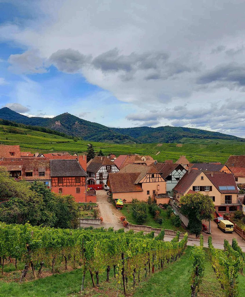 Autumn vineyards surrounding Riquewihr in Alsace