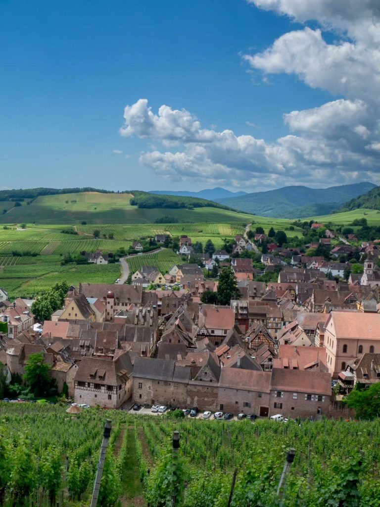 Riquewihr village surrounded by vineyards in Alsace