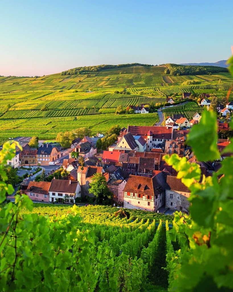 View of Riquewihr from the surrounding vineyards