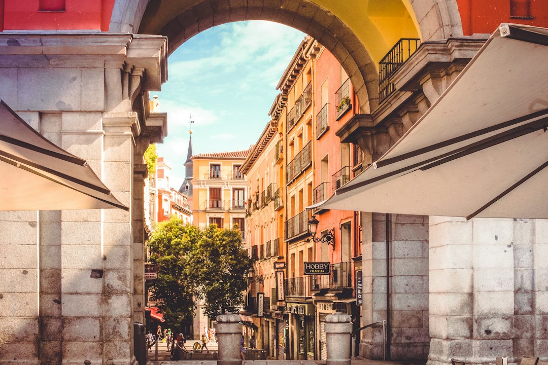 A sunlit city street on a warm summer day