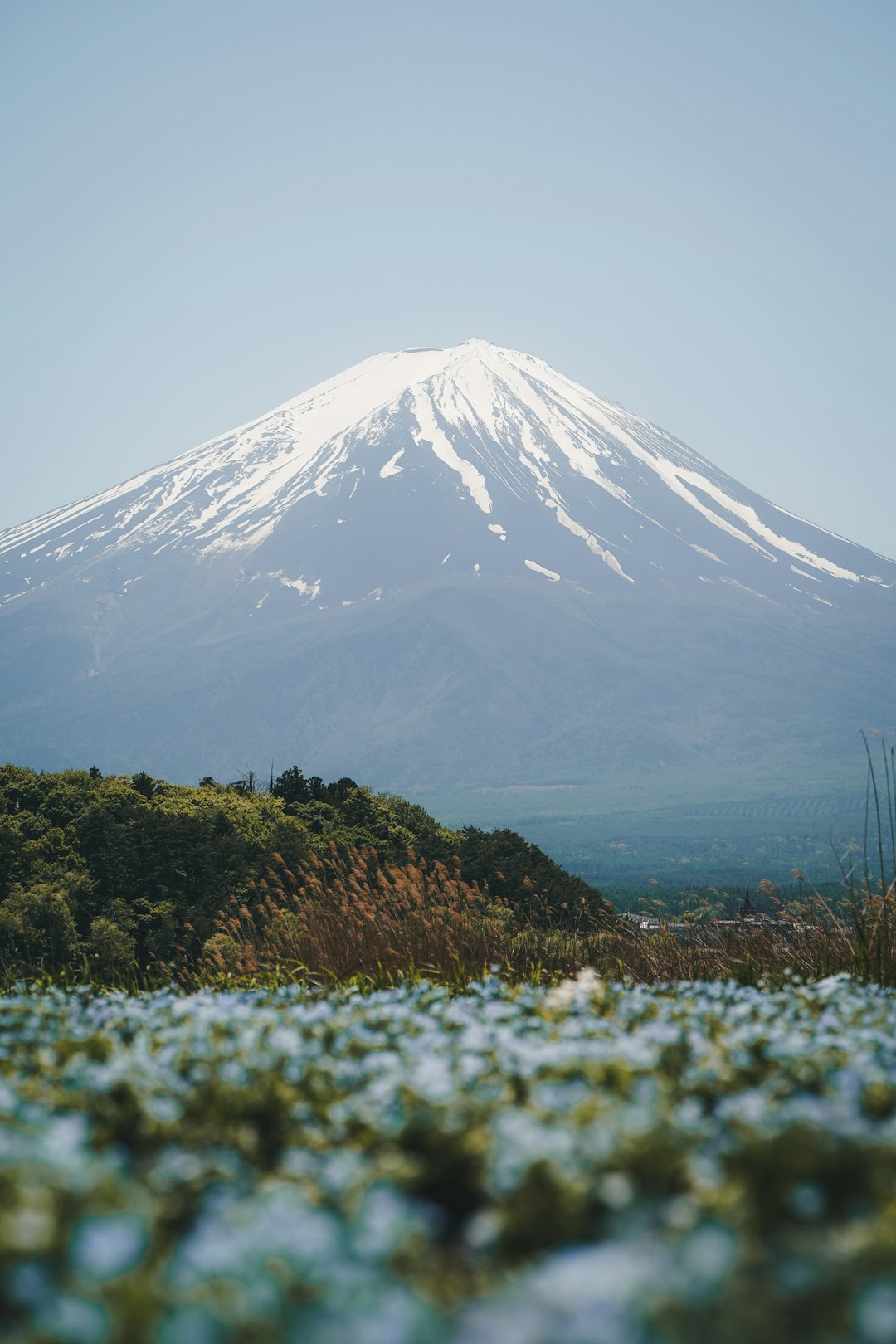 Snow-capped Mount Fuji rising behind a trail